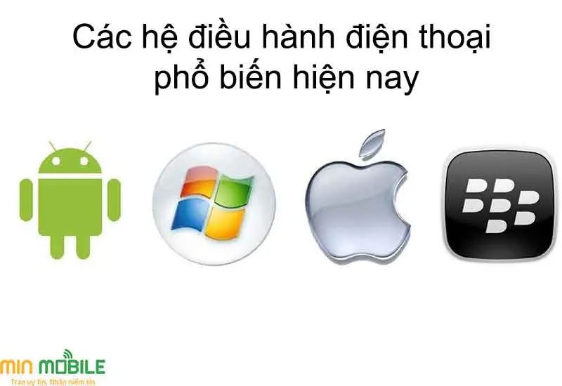 Các hệ điều hành phổ biến trong thế giới smartphone