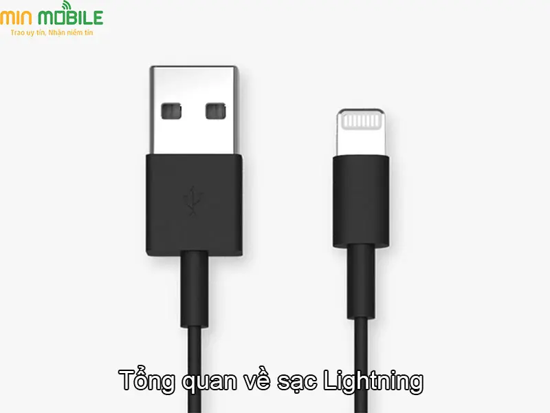 Những thông tin về cổng sạc Lightning